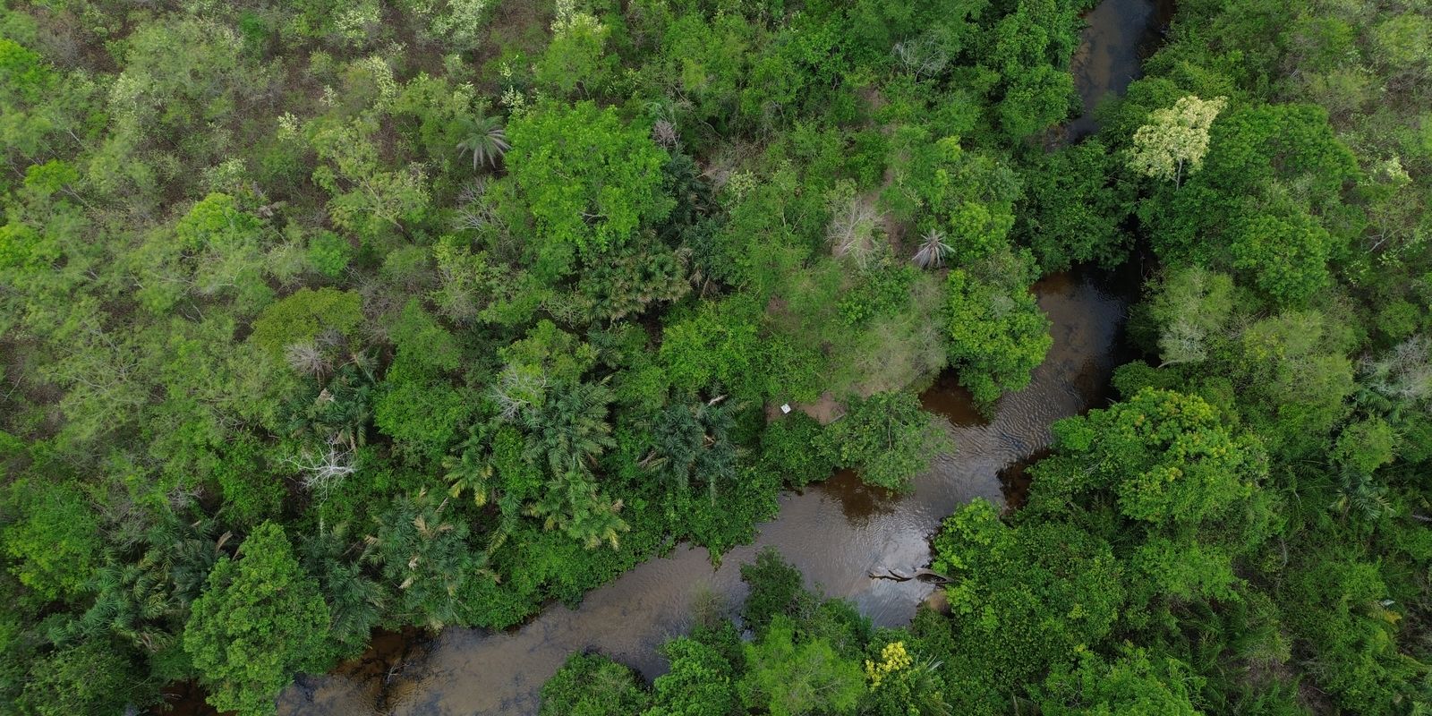 fronteira-cerrado:-ativistas-querem-bioma-“igualado”-a-amazonia