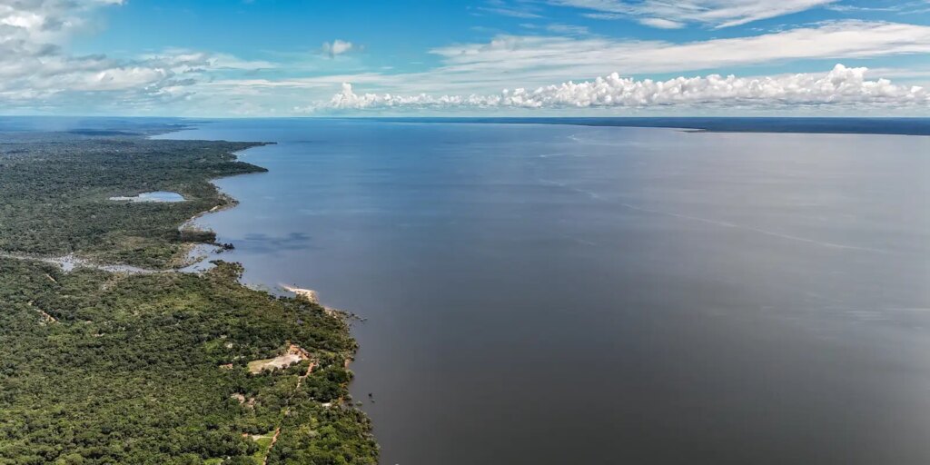 dia-do-meio-ambiente-reforca-importancia-de-acoes-sustentaveis-no-pais